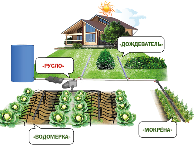 Капельный полив Капельный полив